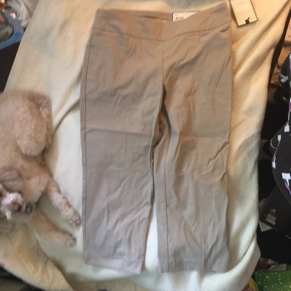 Capri mid rise